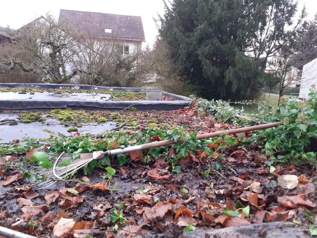 Bilder JS Dienstleistungen