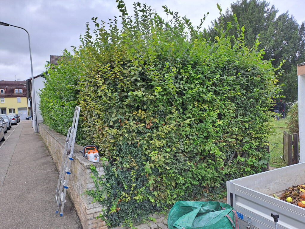 Bilder JS Dienstleistungen