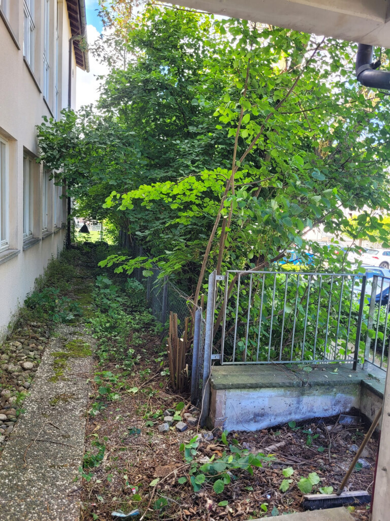 Bilder JS Dienstleistungen