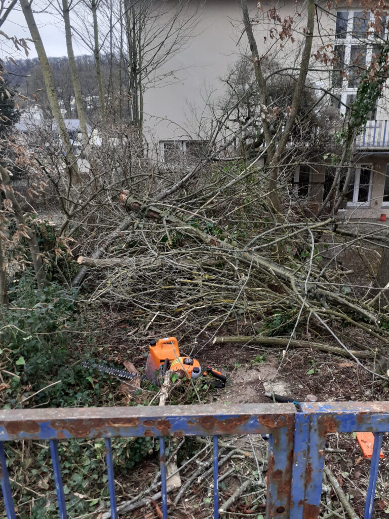 Bilder JS Dienstleistungen