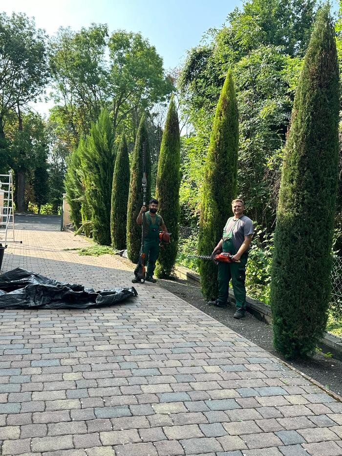 Bilder Royal Garden