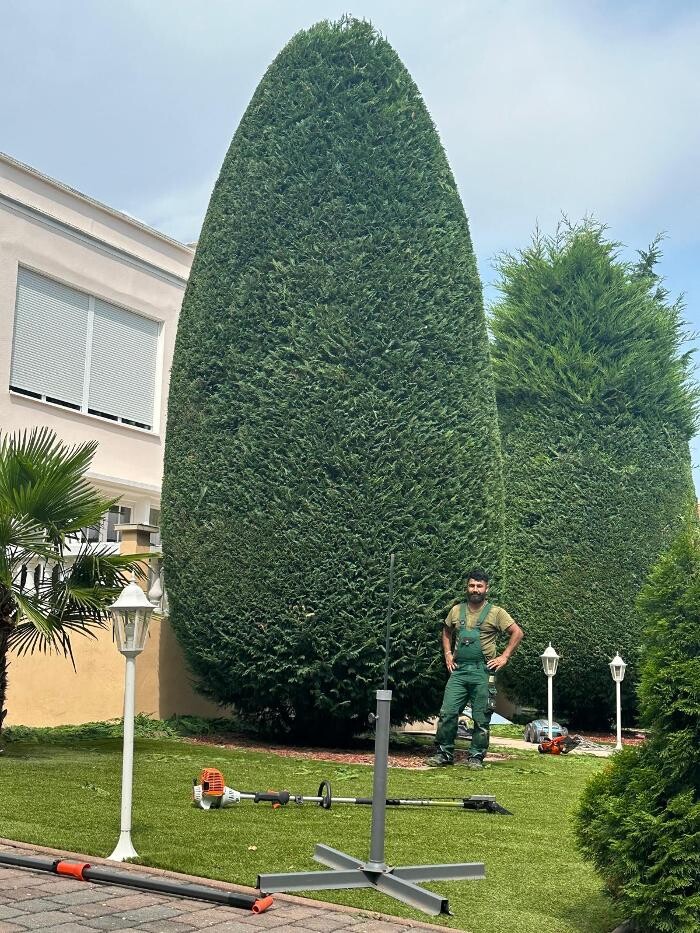 Bilder Royal Garden