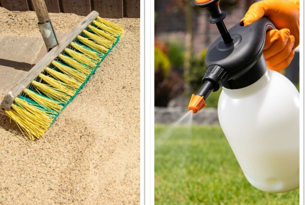 Bilder Friesen & Söhne Reinigung Inh. Artur Friesen