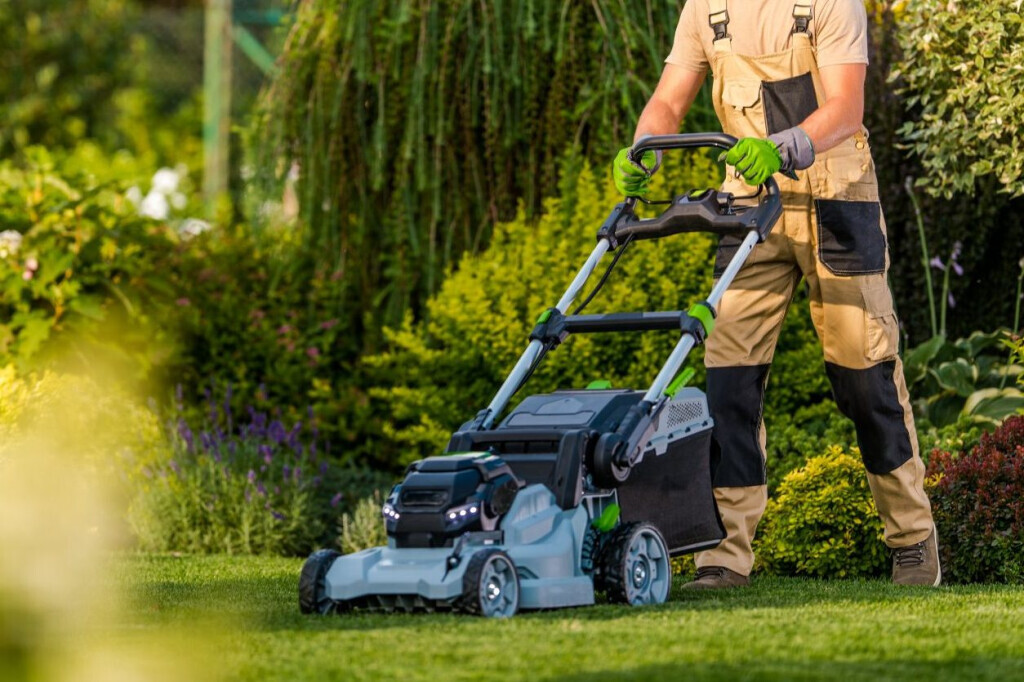 Bilder Friesen & Söhne Reinigung Inh. Artur Friesen