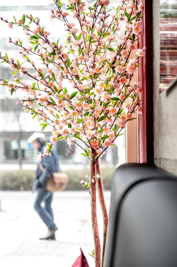 Bilder SUSHIFREUNDE Chemnitz