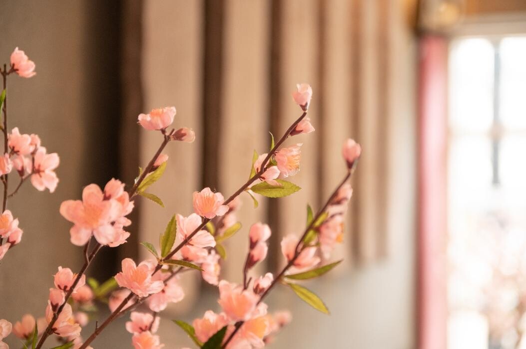 Bilder SUSHIFREUNDE Chemnitz