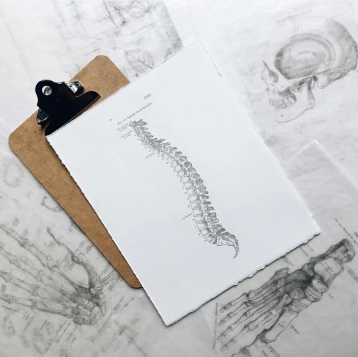 Bilder Hanni Osmanaj Spine & Back Mental Care Rückenschule