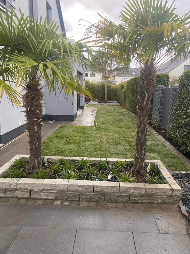 Bilder Sebastian & Natalia