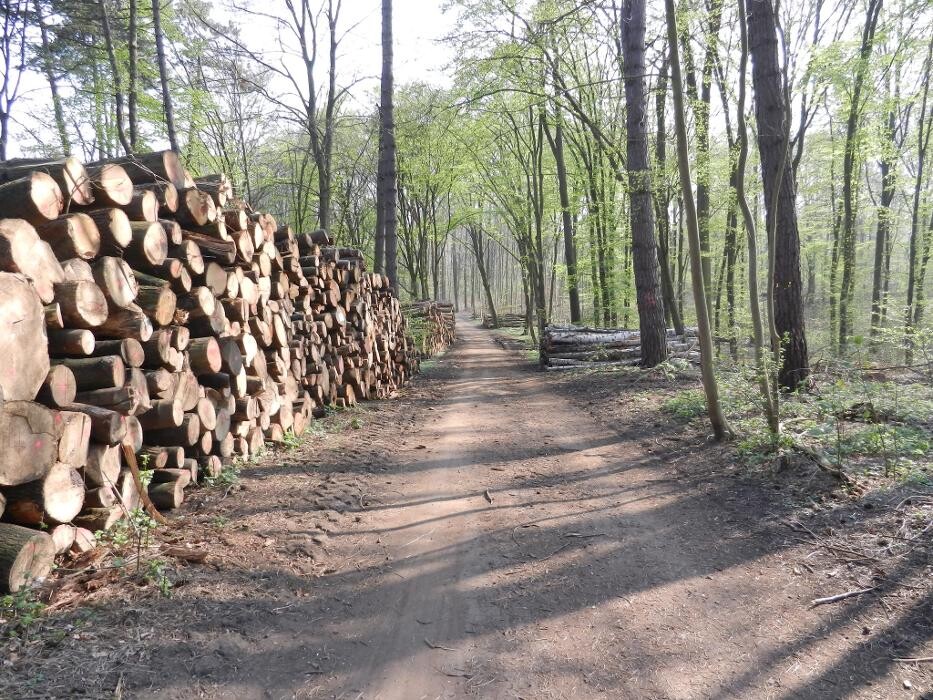 Bilder Kaminholz Siebengebirge GbR