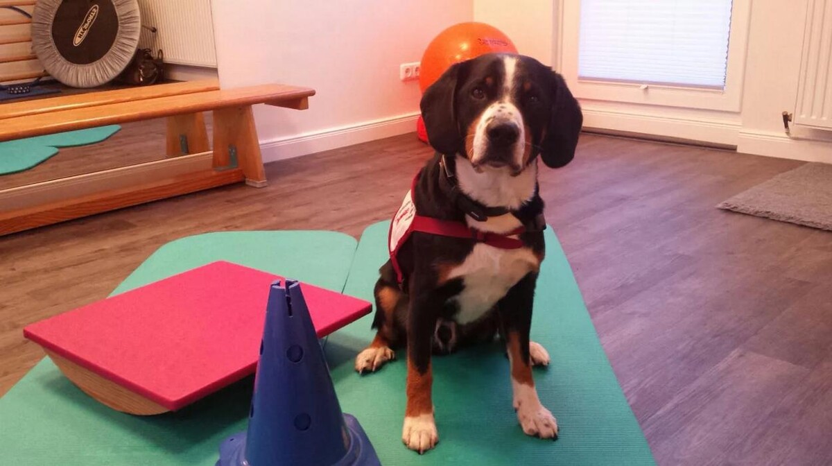 Bilder Michaela Becker Krankengymnastik-Praxis