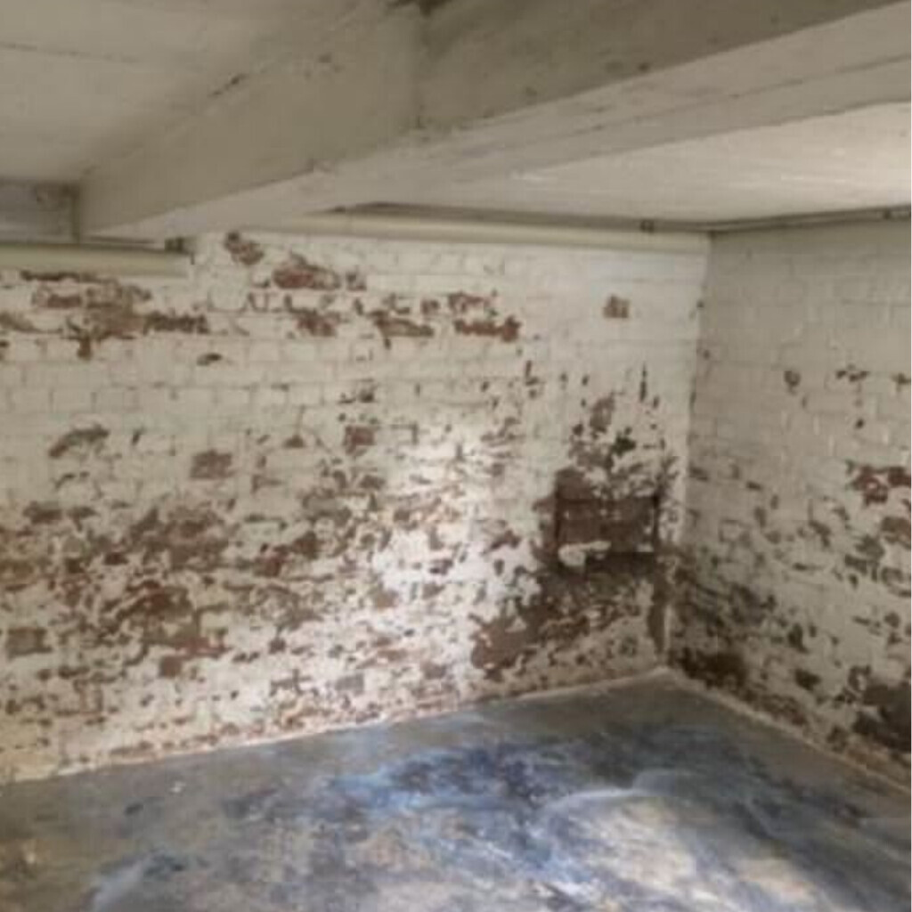 Bilder MHS Rund ums Haus