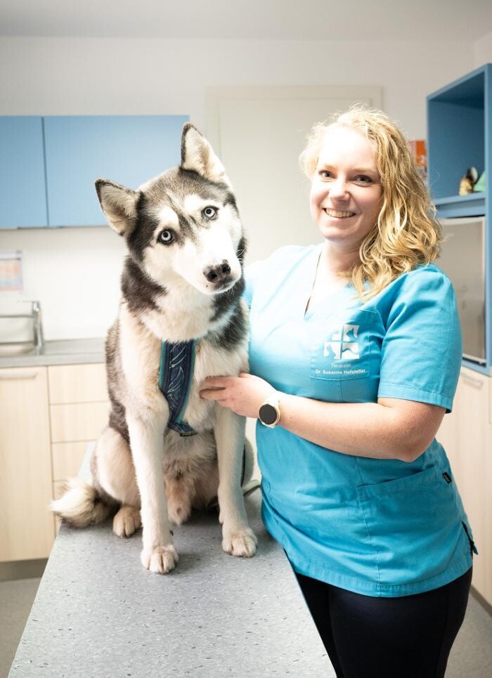 Bilder Tierarztpraxis AN DER ILL - Dr. med. vet. Susanne Hofstetter