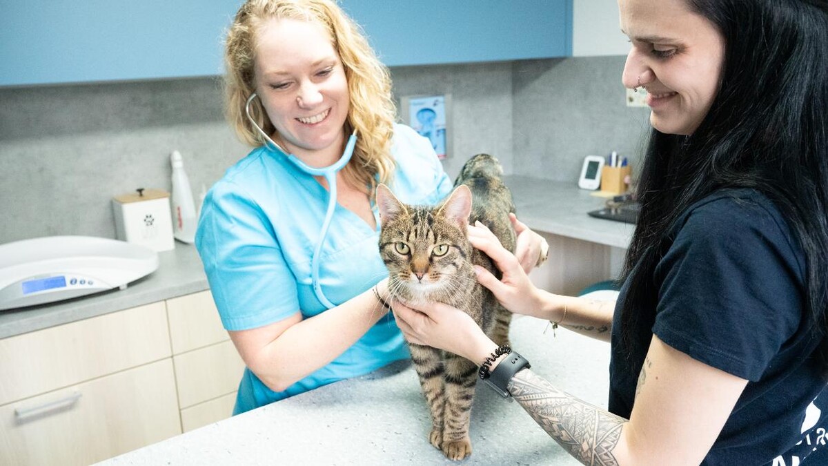 Bilder Tierarztpraxis AN DER ILL - Dr. med. vet. Susanne Hofstetter