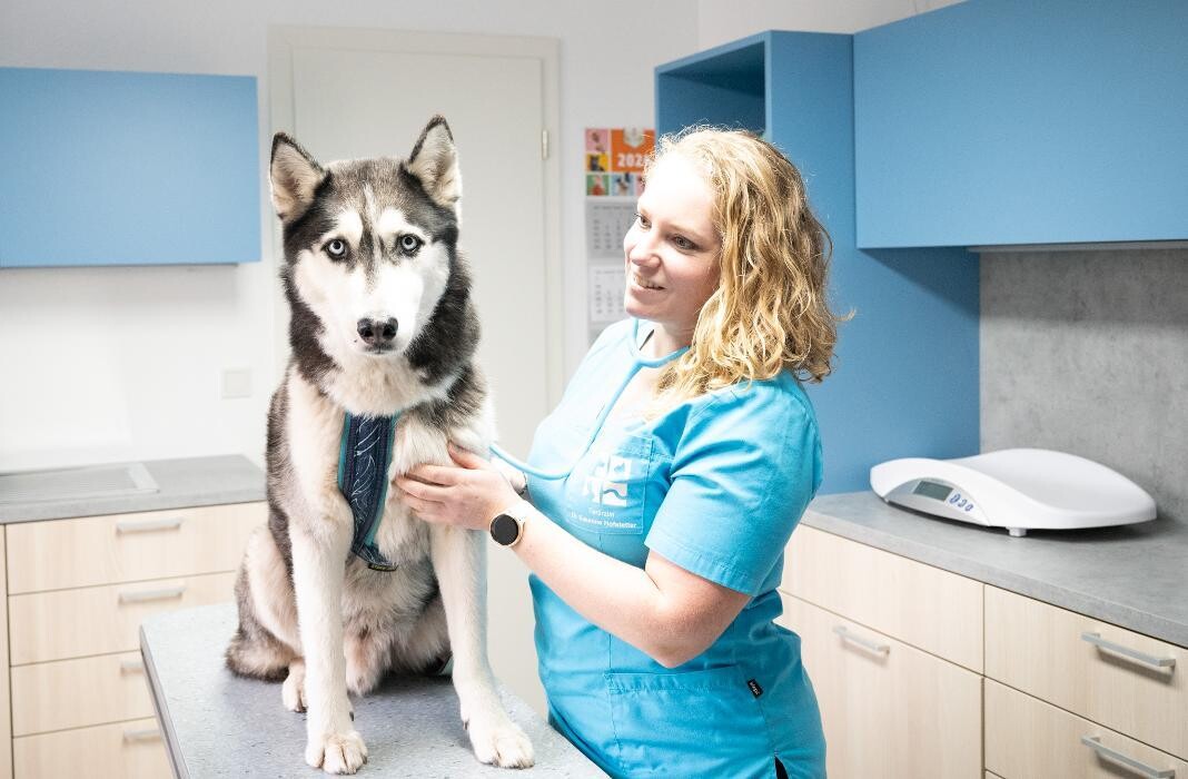 Bilder Tierarztpraxis AN DER ILL - Dr. med. vet. Susanne Hofstetter