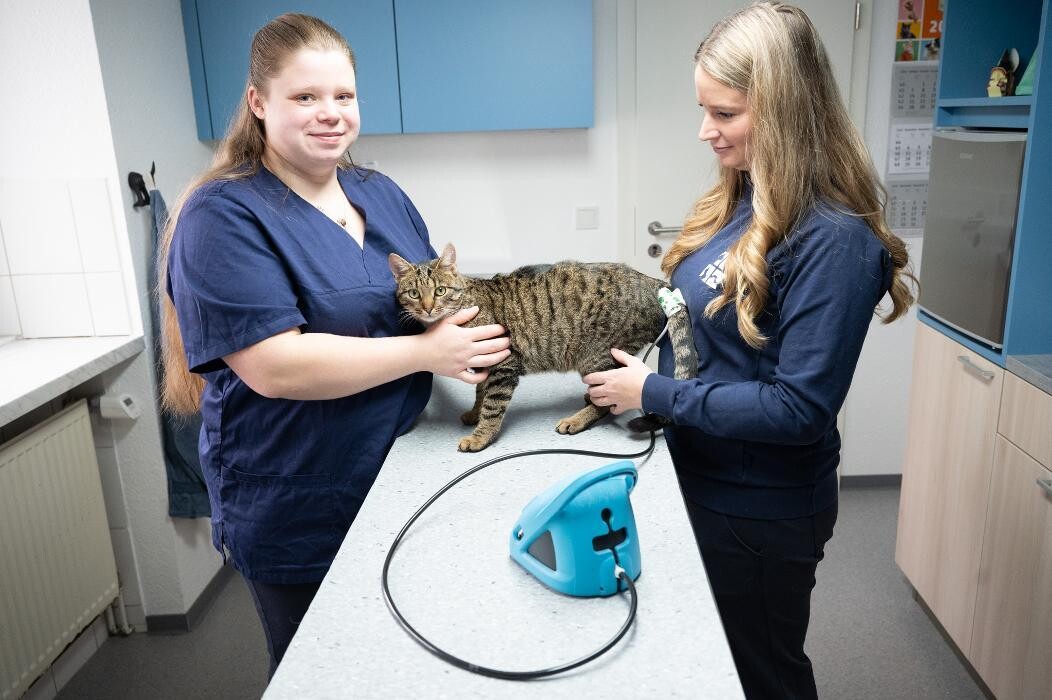 Bilder Tierarztpraxis AN DER ILL - Dr. med. vet. Susanne Hofstetter