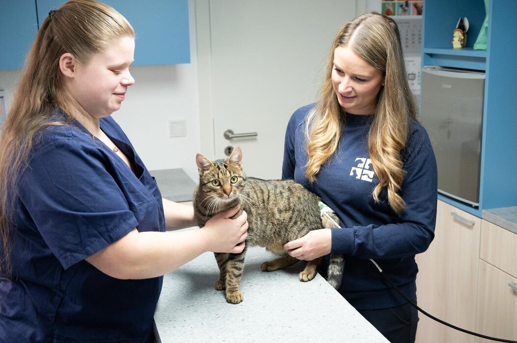 Bilder Tierarztpraxis AN DER ILL - Dr. med. vet. Susanne Hofstetter