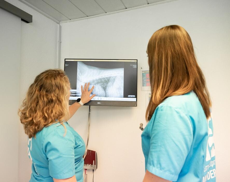 Bilder Tierarztpraxis AN DER ILL - Dr. med. vet. Susanne Hofstetter