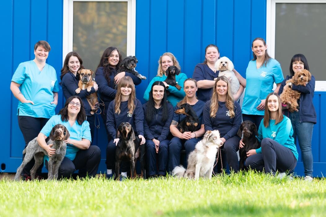 Bilder Tierarztpraxis AN DER ILL - Dr. med. vet. Susanne Hofstetter