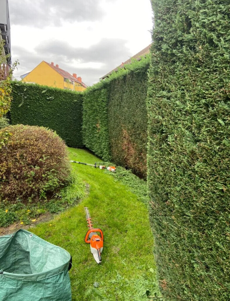 Bilder Pro Garten