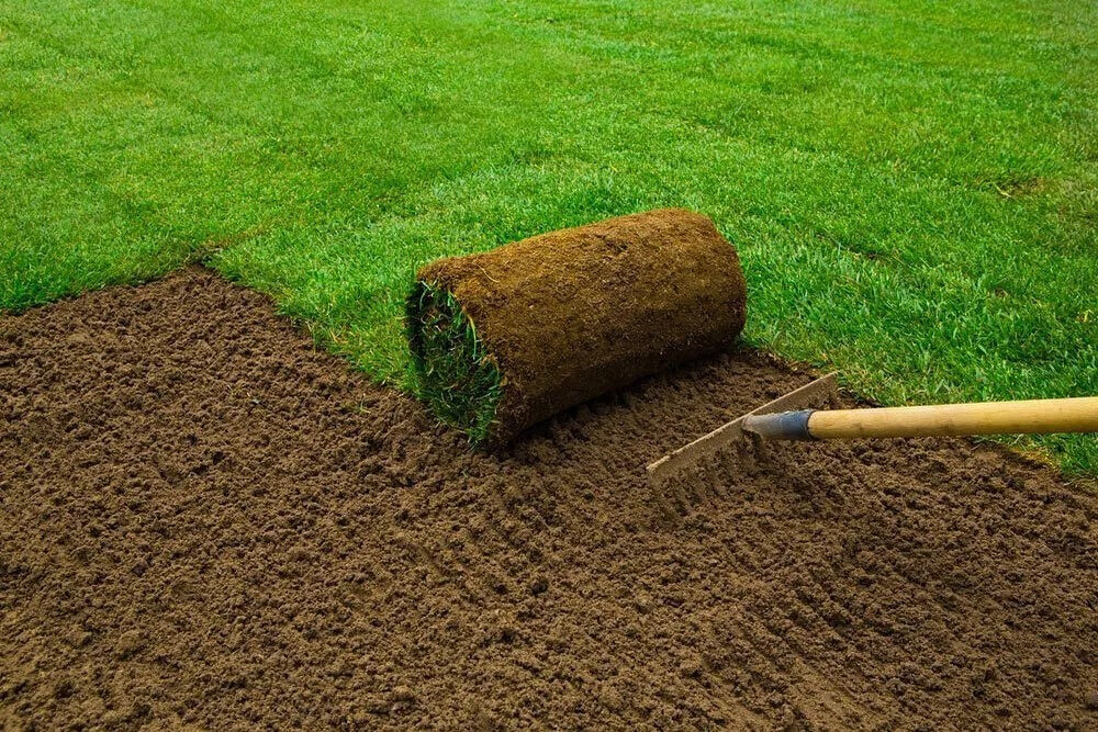 Bilder Pro Garten