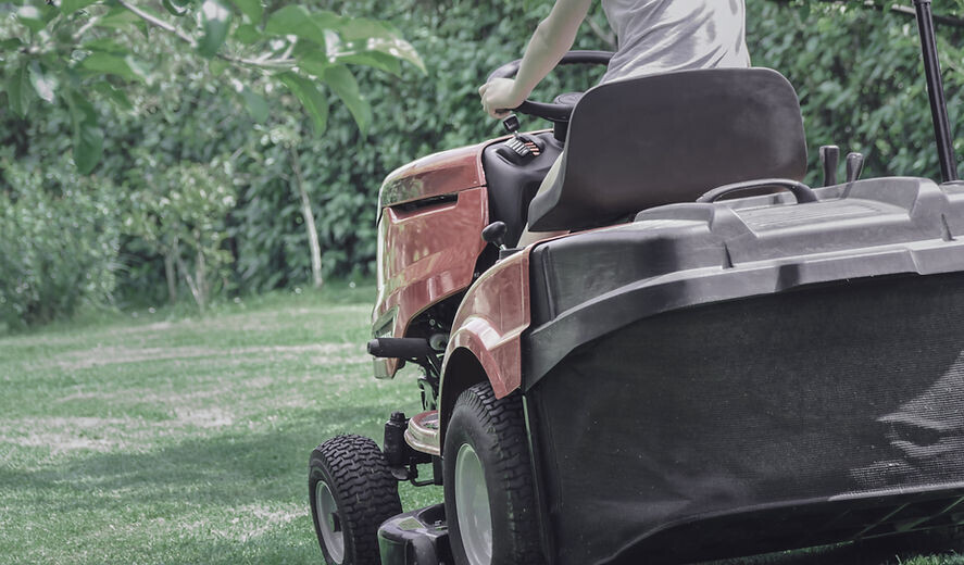 Bilder Garten Service Dean Patzelt