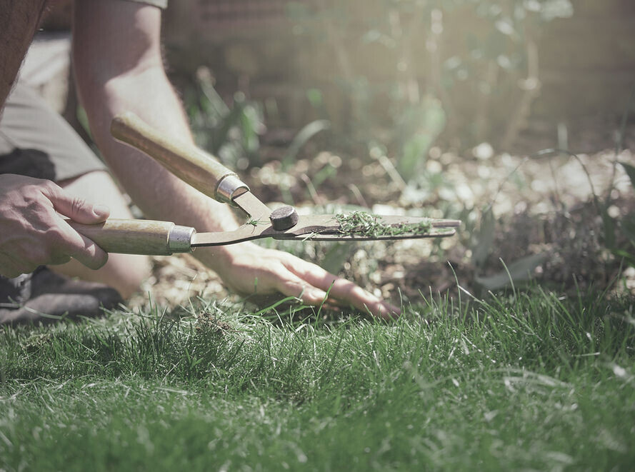 Bilder Garten Service Dean Patzelt