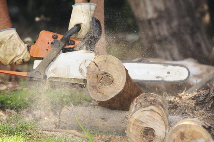 Bilder HGH Wagner Haus-Garten-Hof