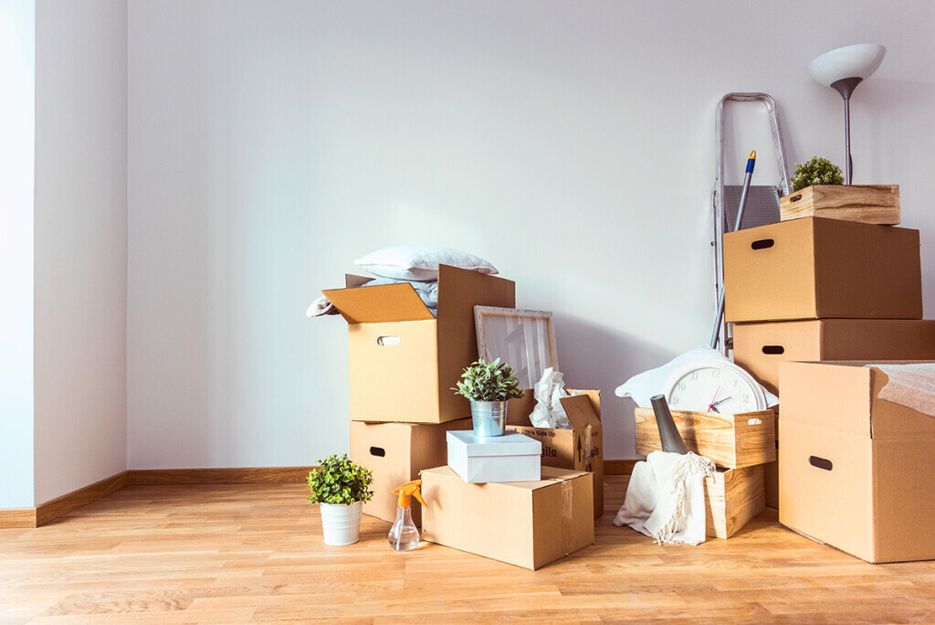 Bilder Die Packprofis