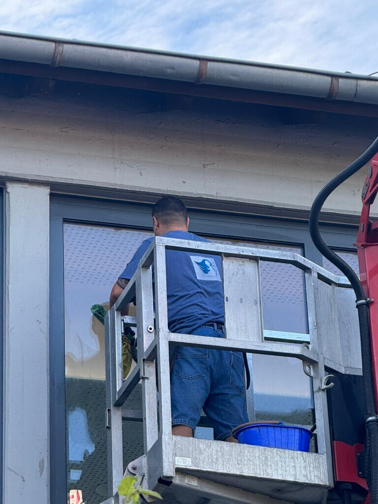 Bilder Betreuungsengel