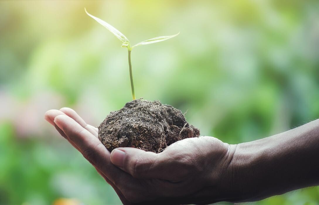 Bilder Vegan Health Coaching