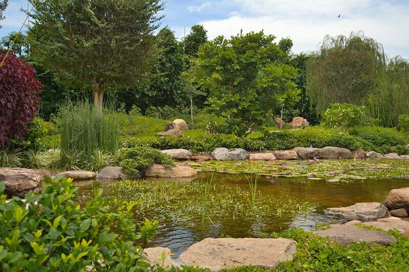 Bilder M&S Hausmeisterservice