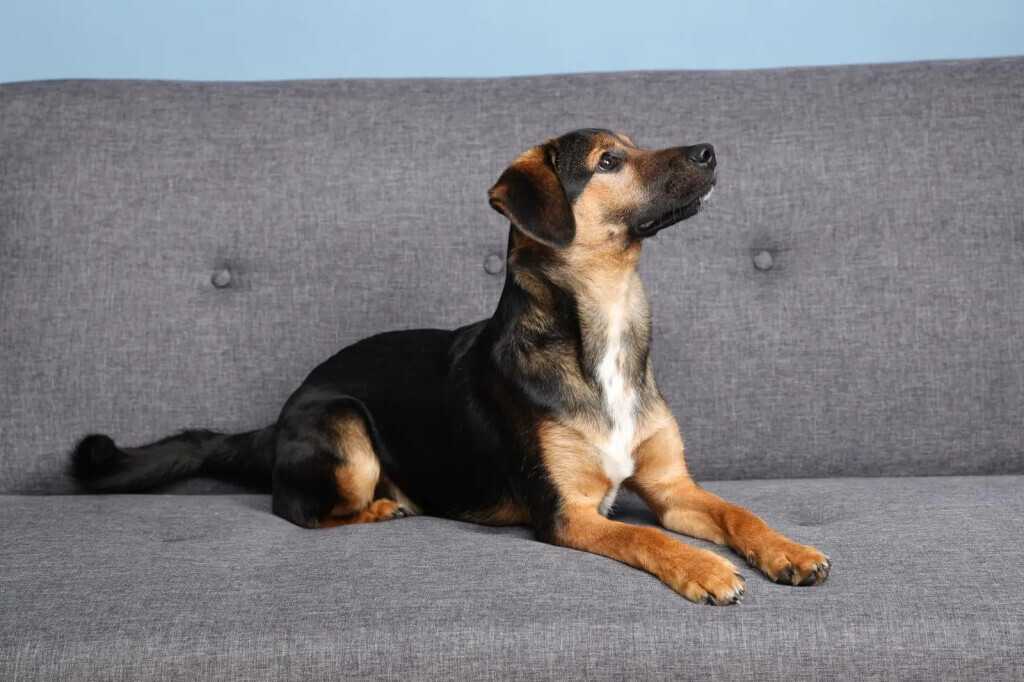 Bilder Marler Bestattungshaus