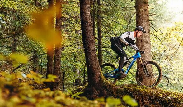 Bilder e-Bike Welt Limburg GmbH