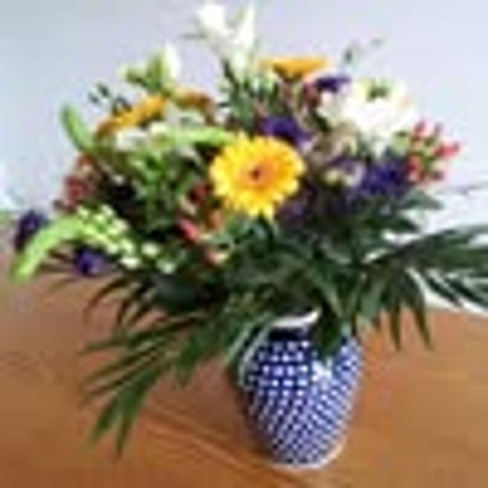 Bilder Miss Elly's Shop, Ellen Renault