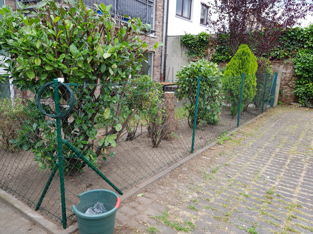 Bilder Allrounder Concept Hausservice & Verwaltung Michael Brandt