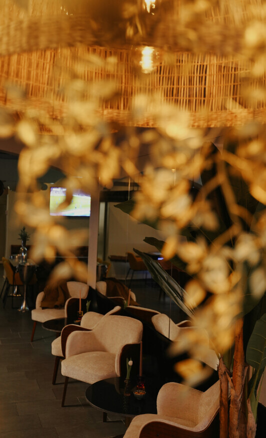 Bilder Noparadise Bar