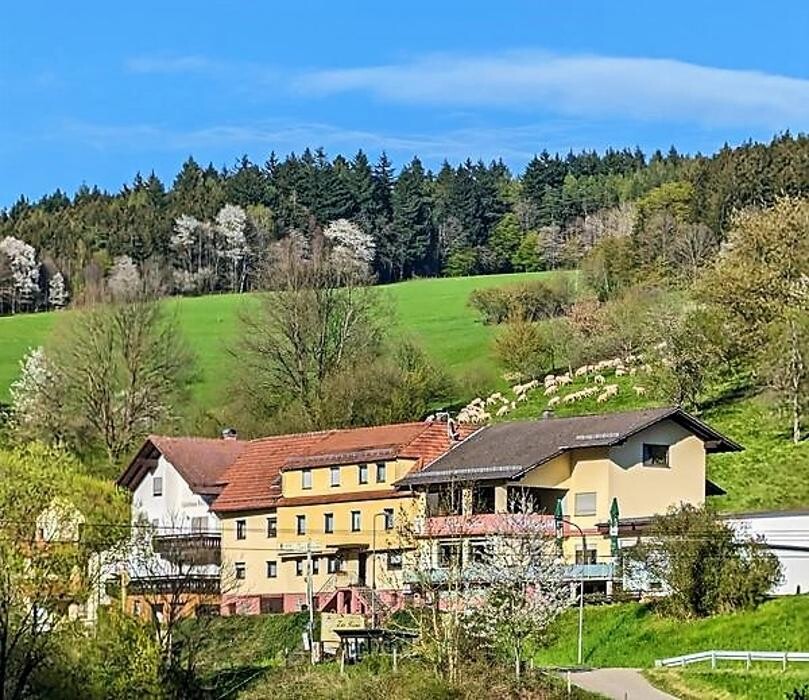 Bilder Hotel Gasthof Zur Krone