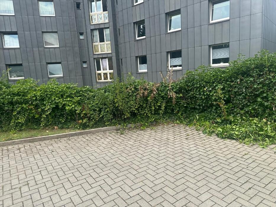 Bilder Katharos Reinigung