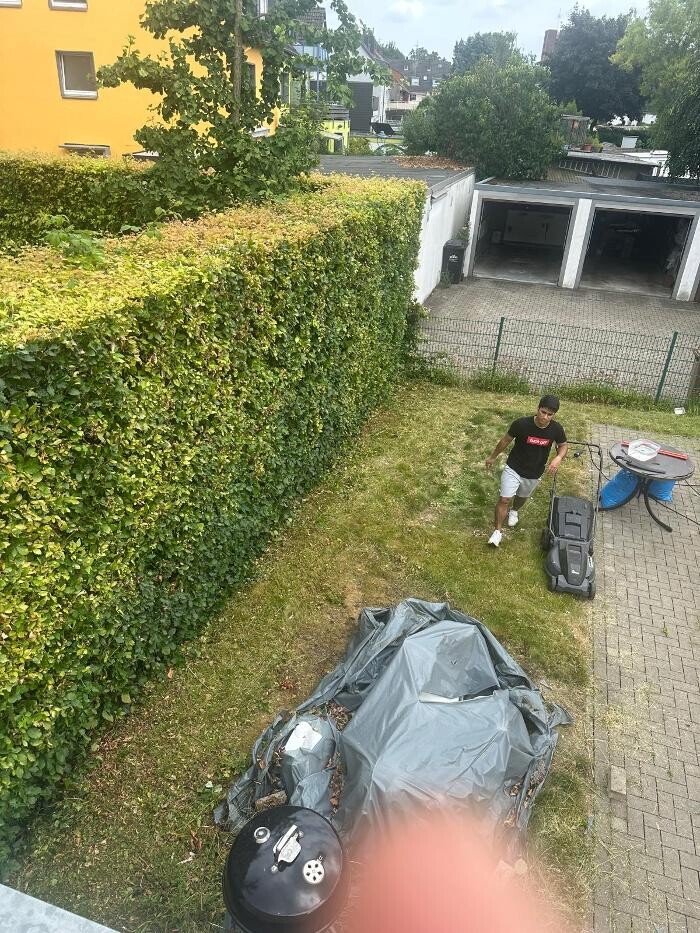 Bilder Katharos Reinigung