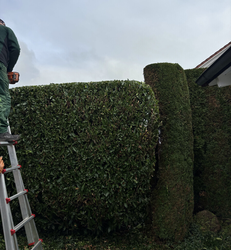 Bilder G&G Gartenarbeiten GbR
