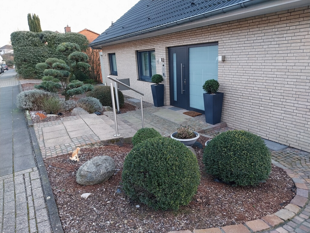 Bilder HS Schönfeld