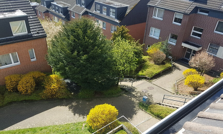 Bilder HS Schönfeld