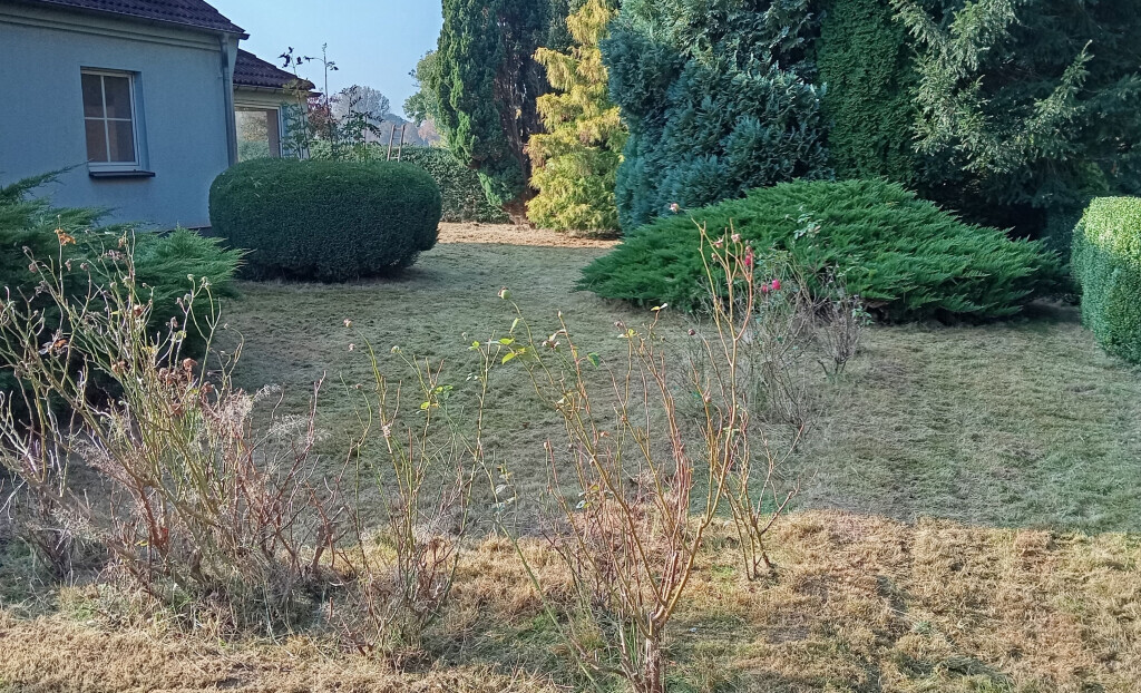 Bilder Dienstleistungsservice Kankel