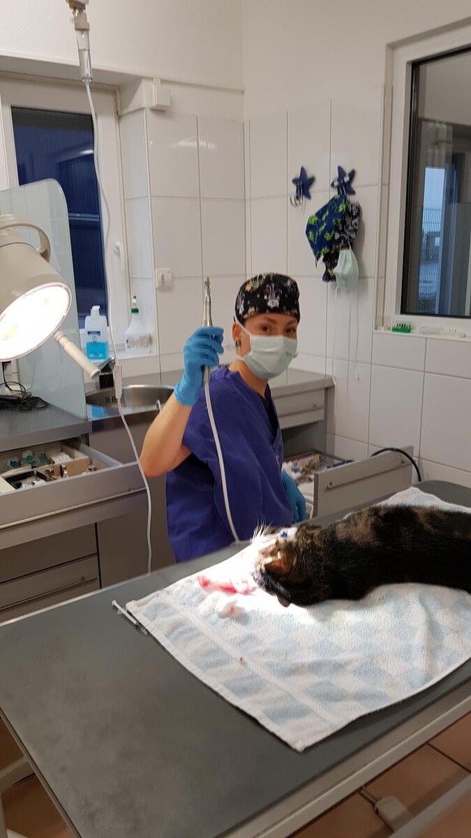 Bilder Tierärztliches Zentrum Pfedelbach GmbH