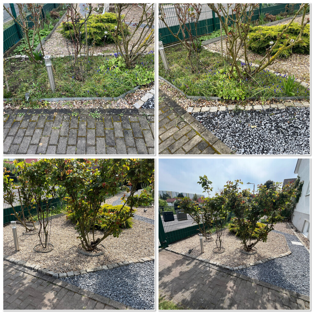 Bilder BäMa-Hausservice