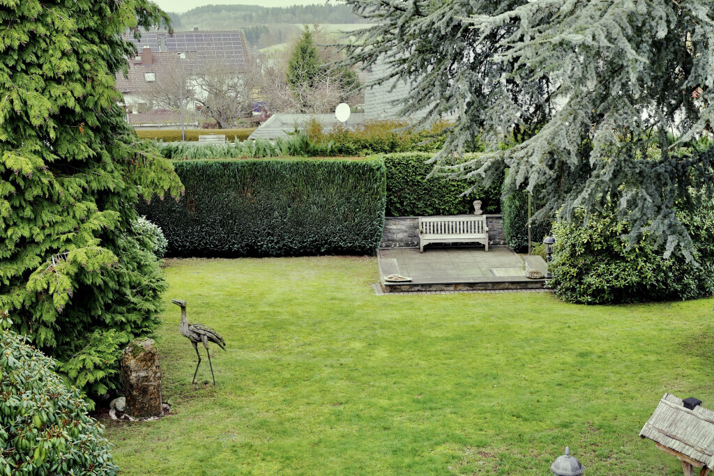 Bilder Daily Gartenpflege