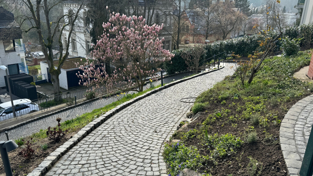 Bilder Daily Gartenpflege