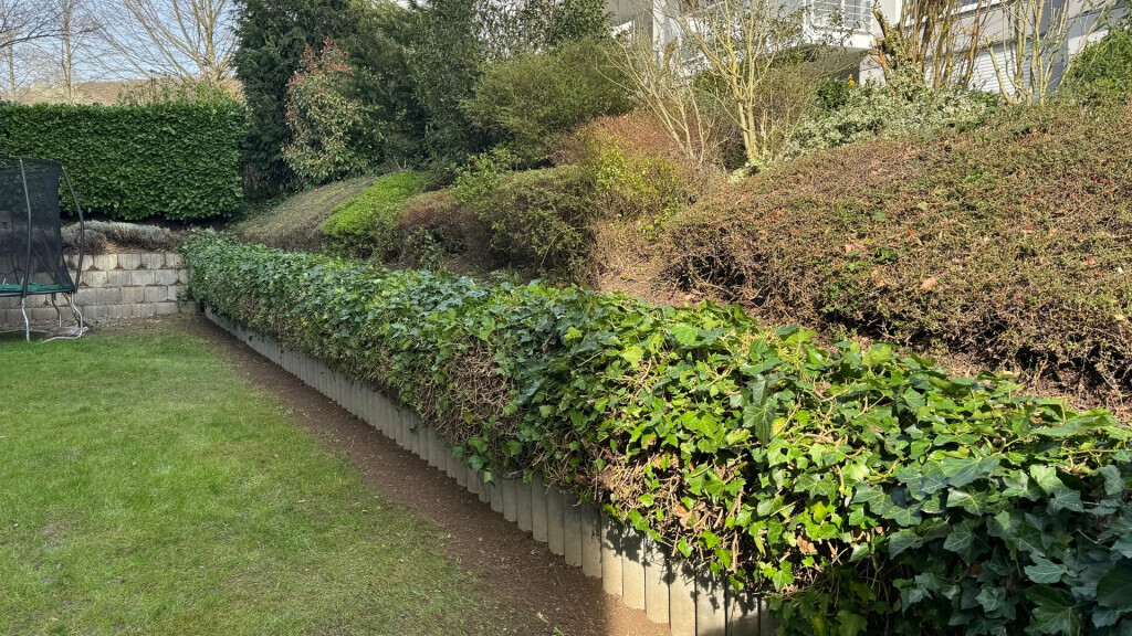 Bilder Daily Gartenpflege