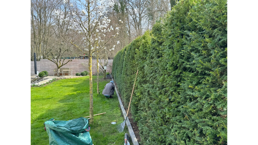 Bilder Daily Gartenpflege