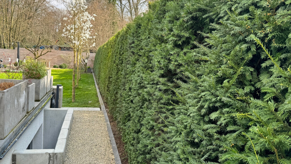 Bilder Daily Gartenpflege